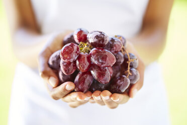 Woman's hands holding red grapes - ZEF001894