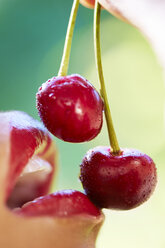 Woman eating cherries, close-up - ZEF001923