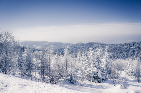 Deutschland, Baden-Württemberg, Schwarzwald, schneebedeckte Landschaft, lizenzfreies Stockfoto