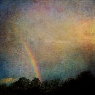 Regenbogen über dem Wald - DWIF000269