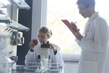 Young chemists working in a chemical laboratory - SGF000959