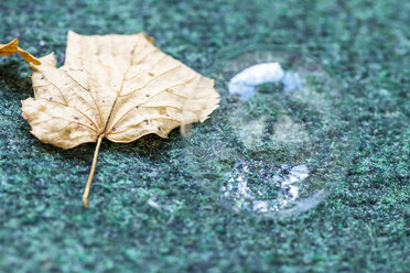 Herbstblatt und Seifenblase auf einem Teppich - JFEF000516