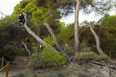 Spanien, Balearen, Mallorca, ein Jugendlicher sitzt in einem Baum - MSF004350
