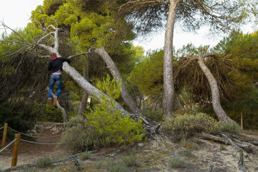 Spanien, Balearische Inseln, Mallorca, ein Jugendlicher klettert von einem Baum - MSF004351