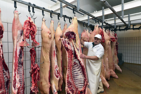 Butcher with half pigs in cold store of a butchery - LYF000331