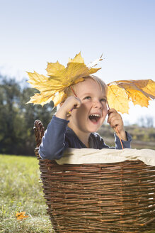 Kleiner Junge sitzt in einem Weidenkorb und spielt mit Herbstblättern - OJF000070
