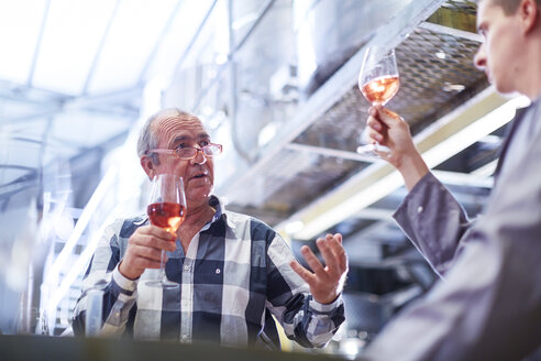 Winzer diskutieren über Weinmischungen - ZEF001966