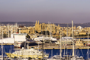 Spain, Mallorca, Palma de Mallorca, Harbour with La Seu cathedral - THAF000856