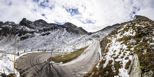 Switzerland, Grisons, Rhine Forest, - STSF000562