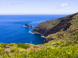 Spain, Canary Islands, La Palma, Punta del Puerto Viejo, Cliff coast near Garafia - AMF003183