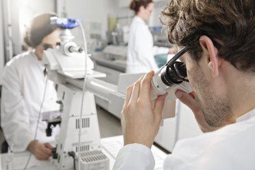 Scientists working in laboratory, microscope - FKF000842