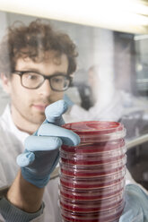 Wissenschaftlerin im Labor, Bakterienkulturen - FKF000877