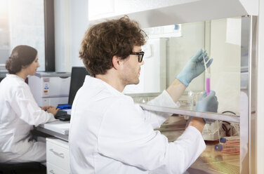 Scientists working in laboratory - FKF000880