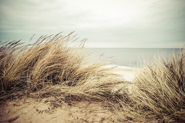 Germany, Schleswig-Holsteins, Sylt, dune - PUF000272