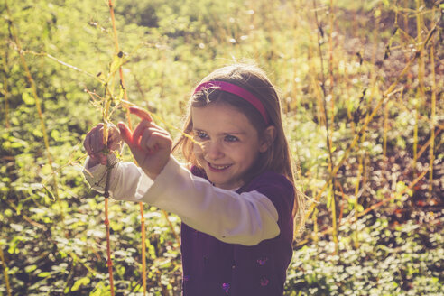 Kleines Mädchen spielt mit Juwelengras im Wald - SARF000999