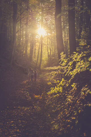 Drei kleine Mädchen gehen durch den Herbstwald, lizenzfreies Stockfoto