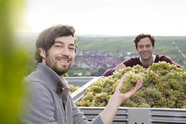 Deutschland, Bayern, Volkach, zwei lächelnde Winzer mit geernteten Trauben - FKF000795