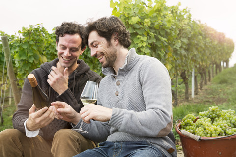 Germany, Bavaria, Volkach, two winegrowers having a break in vineyard stock photo