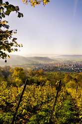 Germany, Baden-Wuerttemberg, Nature Park Schoenbuch, View to Entringen in autumn - LVF002194