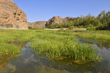 Afrika, Namibia, Kunene-Provinz, Kaokoland, Namib-Wüste, Wasser und grüne Vegetation am Hoarusib-Fluss - ESF001473