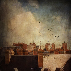 France, Blois, Roofs and flock of birds, Textured effect - DWI000283