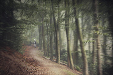 Germany, near Wuppertal, Man standing on forest path, digital manipulation - DWI000292