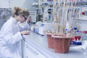 Young scientist working in a lab with plants - SGF001000