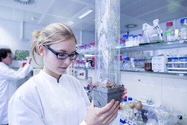 Young scientist working in a lab - SGF001002