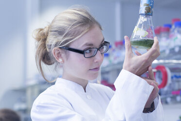Junge Wissenschaftlerin bei der Arbeit in einem Labor - SGF001025