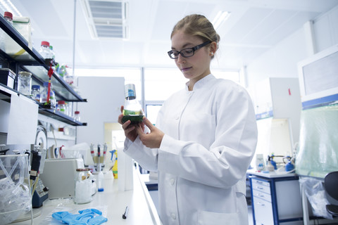 Junge Wissenschaftlerin bei der Arbeit in einem Labor, lizenzfreies Stockfoto