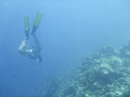 Snorkeling, Ari Atoll Maldives - FLF000557
