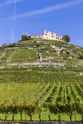 Germany, Baden-Wuerttemberg, Staufen im Breisgau, castle ruin on Staufenberg and vineyard - MABF000260