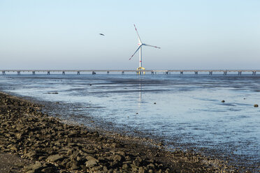 Germany, Lower Saxony, Wilhelmshaven, JadeWeserPort, Offshore wind wheel, Niedersachsen Bridge, Bulk Terminal Wilhelmshaven - EVGF001001