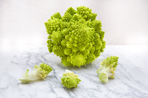 Romanesco, Brassica oleracea convar. botrytis var. botrytis, auf weißem Marmor - LVF002213