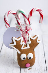 Glass with candy canes and a gingerbread elk on white wood - ODF000864
