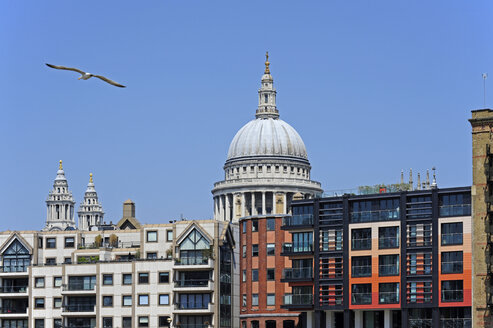 UK, London, housing in front of St. Paul's Cathedral - MIZF000688