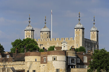 UK, London, Tower of London - MIZF000706