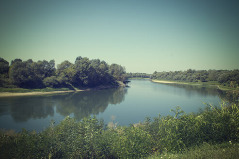 Kroatien, Lonjsko polje, Fluss Sava - LVF002271