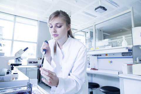 Junge Naturwissenschaftlerin beim Färben eines Objektträgers für das Lichtmikroskop im mikrobiologischen Labor, lizenzfreies Stockfoto