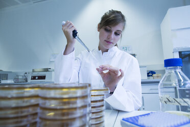 Junge Naturwissenschaftlerin bei der Arbeit im mikrobiologischen Labor - SGF001017