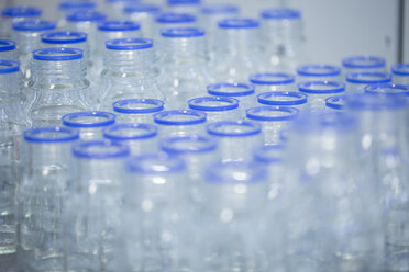 Empty glass bottles in a laboratory - SGF001003