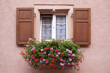 Frankreich, Elsass, Eguisheim, Fenster mit Blumenkasten und Geranien - WIF001162
