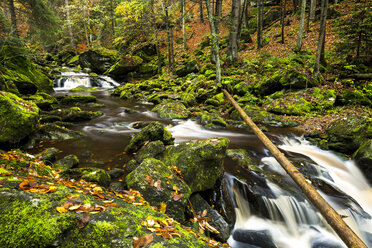 Deutschland, Nationalpark Bayerischer Wald, Steinbachklamm im Herbst - STSF000598