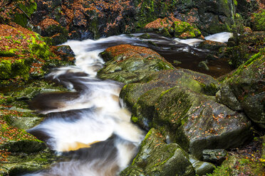 Deutschland, Nationalpark Bayerischer Wald, Steinbachschlucht im Herbst - STSF000597