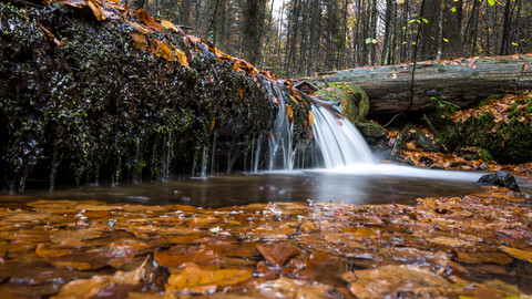 Deutschland, Nationalpark Bayerischer Wald, Steinbach, Wasserfall im Herbst, lizenzfreies Stockfoto