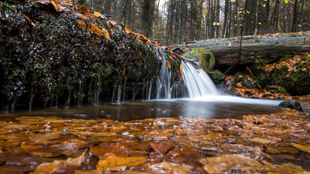 Deutschland, Nationalpark Bayerischer Wald, Steinbach, Wasserfall im Herbst - STSF000596