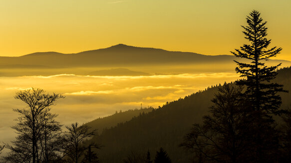 Deutschland, Bayern, Nationalpark Bayerischer Wald, Blick aus dem Tal mit Nebelschwaden bei Sonnenaufgang - STSF000594