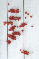 Red currants on white wood - ASF005488