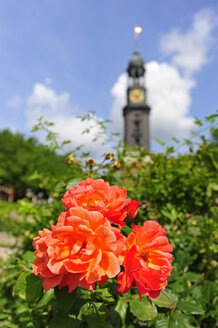 Germany, Hamburg, flower and tower of St. Michaelis Church - MIZF000733