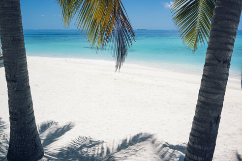 Maldives, Ari Atoll, view to white sandy beach - FLF000576